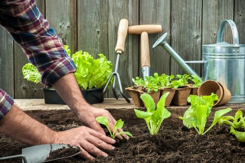 Gardeners Maida Vale logo with greenery motif