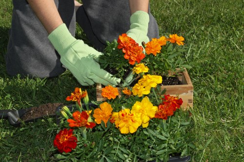 Risk assessment and planning for gardening work