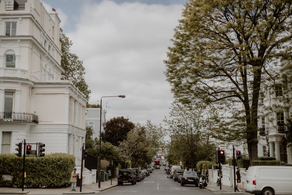 A typical urban street scene on Warwick Avenue in Maida Vale featuring residential buildings with classic white facades and decorative architectural details. Lush green trees line both sides of the st