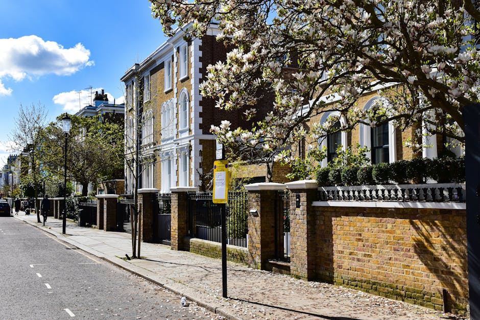 A typical urban street scene on Warwick Avenue in Maida Vale featuring residential buildings with classic white facades and decorative architectural details. Lush green trees line both sides of the st